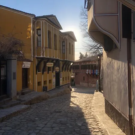 Oazis 54