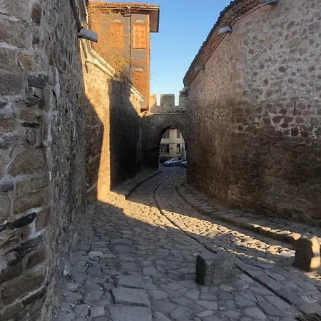 Oazis 54